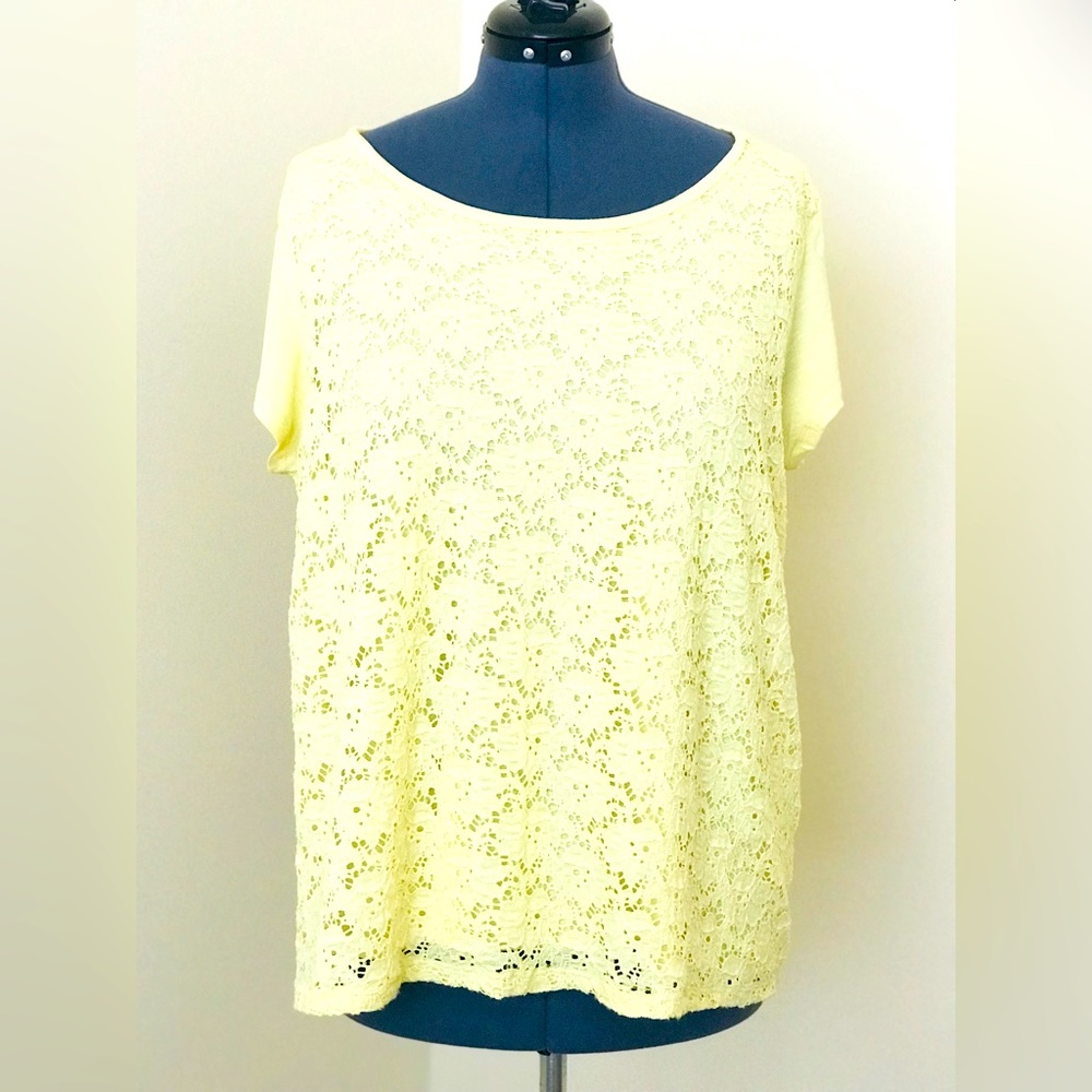 Roz & Ali Pale Yellow Top Size 2X